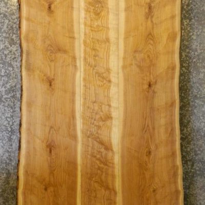 Κορμός Ash/Φράξος 5cm | Live Edge 70-90cm x 2M