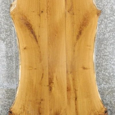 Κορμός Δρυς 5cm | Bookmached 60-80cm x 2M